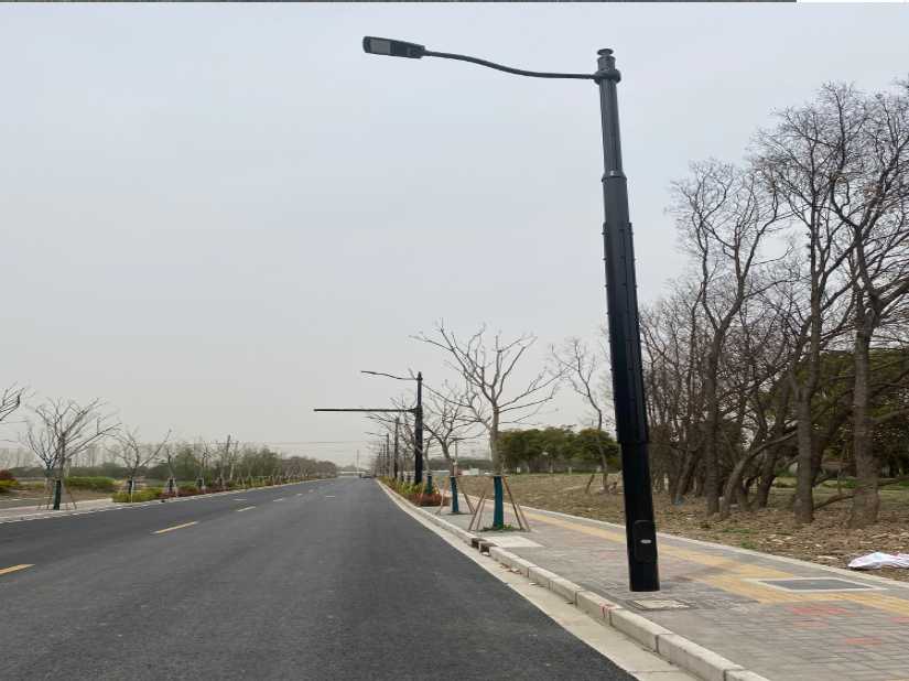 濮阳县上海综合杆 太阳能路灯工程